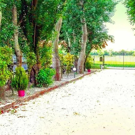 Allegra Апартаменты *
